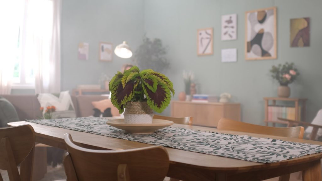 Progetto di set design realizzato per lo spot diretto da Nicolò Bravetta. Collaborazione scenografica con il direttore della fotografia Stefano Bella